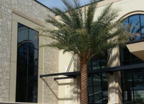 Landscaping Lakeland FL